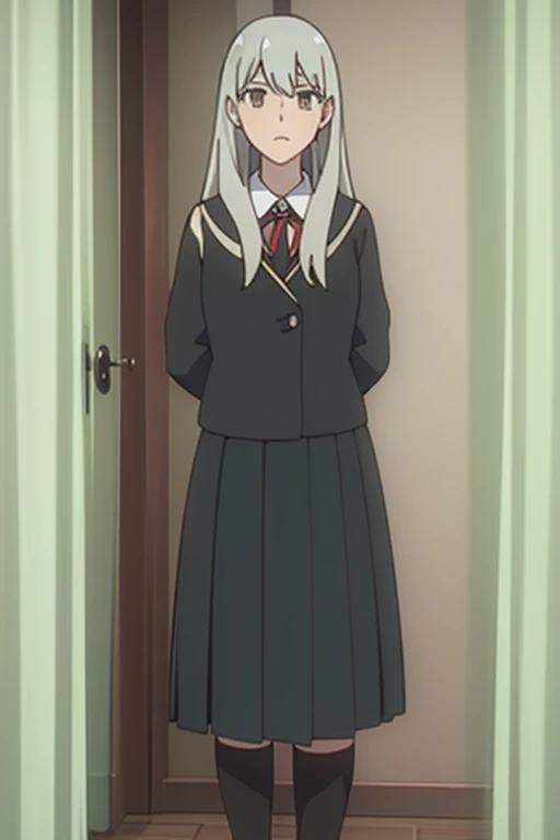 ((masterpiece)), ((Best Quality)), ((High resolution)), ((Extremely detailed CG unity 8k wallpaper)), Alone, canada tachibana, tan school uniform, black skirt, white socks, outdoor, face, hair with curtains, playa, by the party, silver hair