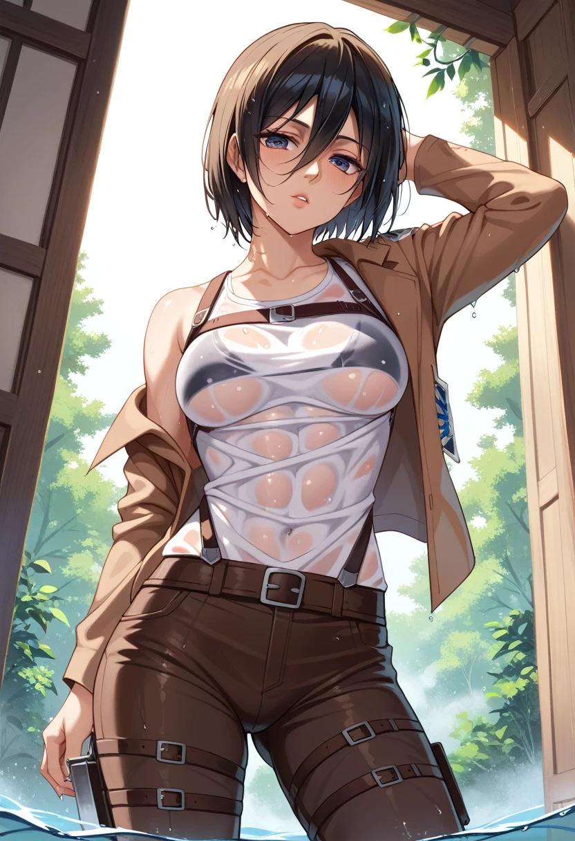 , Mikasa Ackerman, Shineki no kiojin, Attack on Titan, Ackerman Mikasa, In wet clothes