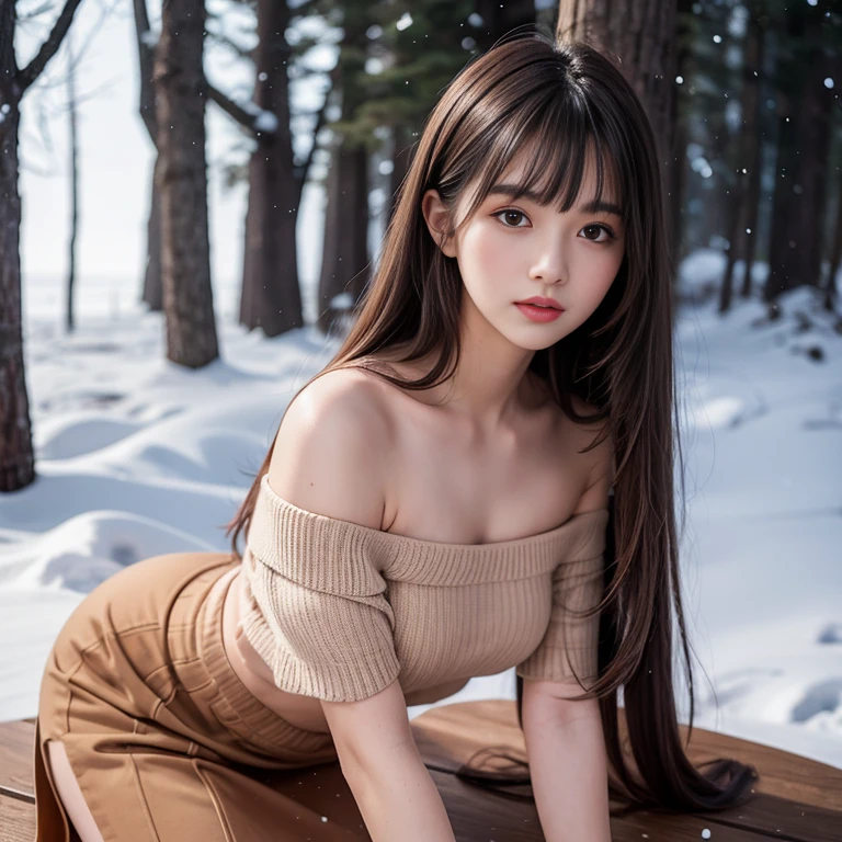 long skirt,skirt, (knee shot), 1 woman, On the face, light brown hair, blunt bangs, hair behind ears, Hair over the shoulders, long hair, Slender body type, Super thin face, face slimming, delicate lips, beautiful eyes, Thin blush, Eyes are light brown,Check it out here, (realistic:1.3), There is a coniferous forest with heavy snow., It's snowing .One person's perspective, 8k, On the table, north african trade zone, Super detailed, high quality, best quality, High resolution, ,Large Breasts,H CUP, Off-shoulder clothes