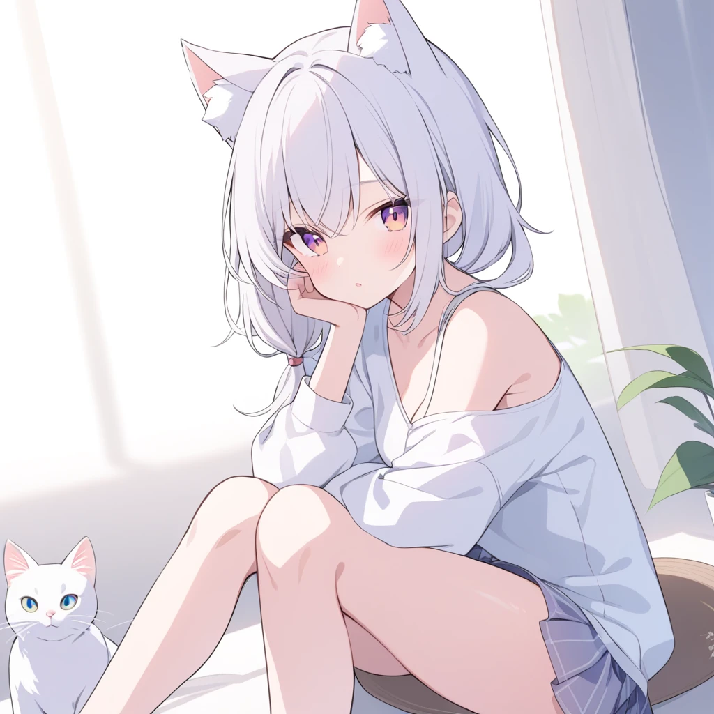 white hair,white cat ears,,sitting