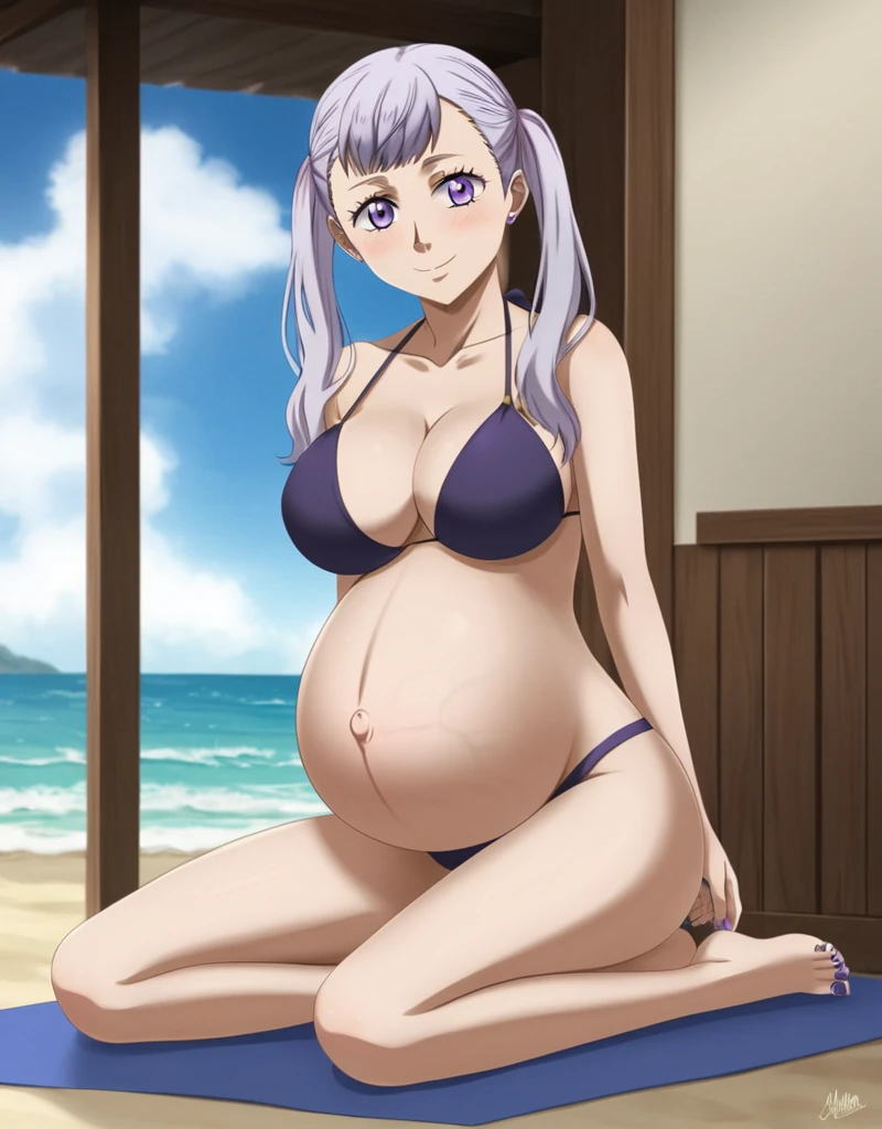 noelle_blackclover, Noelle Silva, Black Clover, long silver hair, waist-length hair, half-up half-down hairstyle, ribbon, soft waves, side-parted bangs, almond-shaped blue eyes, high-quality, ultra-detailed, beast quality, 8K resolution,
looking at viewer, smile, pregnant belly, large belly, huge belly, big Breasts, Modeling,
1girl,solo, indoors, beach, happy, Smiling, rub belly,
full body,(bikini, panties, violet toenails:1.4)