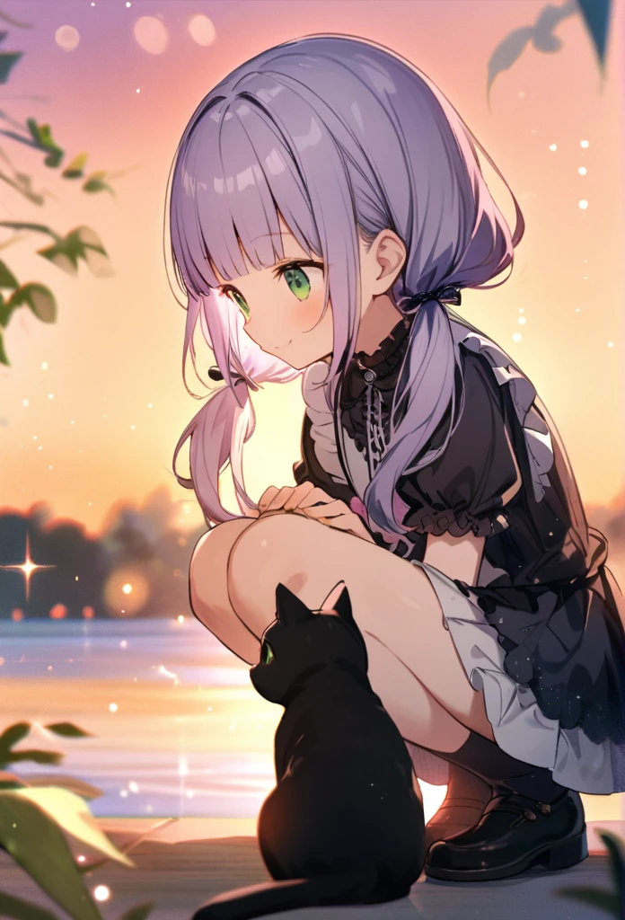 (watercolor:0.4), (pastel:0.4), (sketch:0.4) extremely detailed, 8k cg wallpaper, stunning art, absurdres, a cute girl, 10yo,pale purple hair,low-twintails,blunt bangs,green eyes), frilled gothic wear, short sleeves, BREAK light smile, squatting, closed legs, in front of a black cat, look at the cat, face to face, background is sunset, at bank of river, (depth of field:1.3), from side, (sparkles particles:1.1), bokeh,