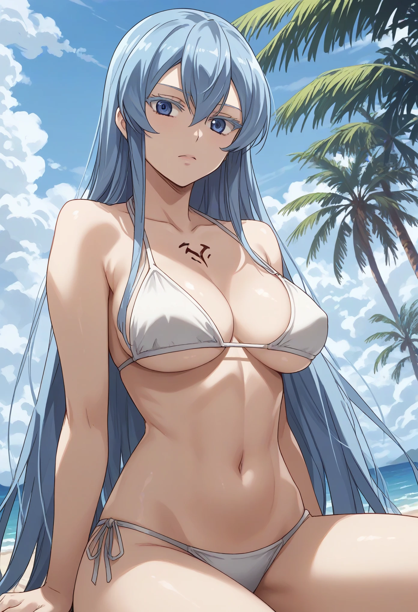 esdeath, blue eyes, blue hair, long hair,large breast, eyelashes,bikini,on the beach