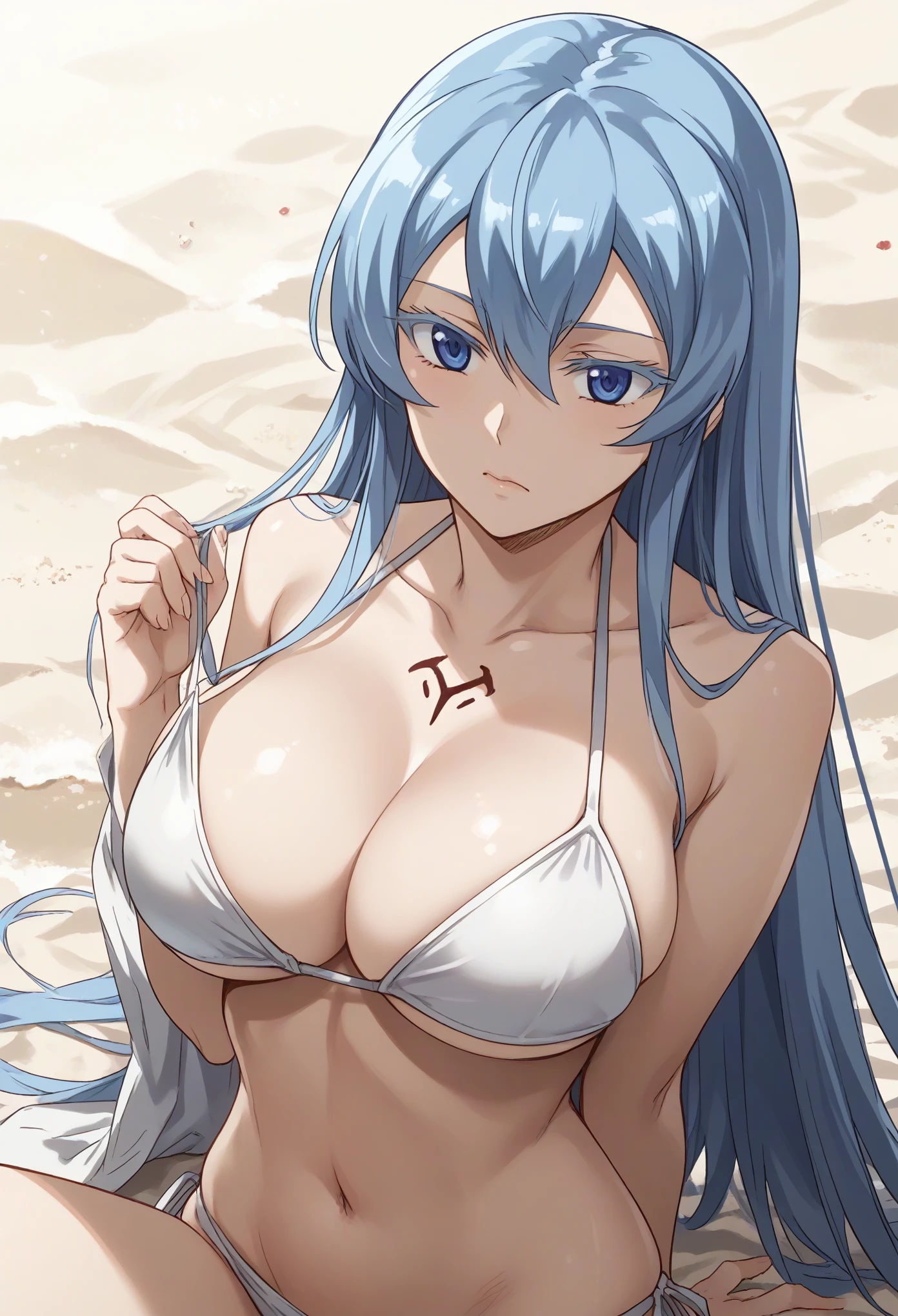 esdeath, blue eyes, blue hair, long hair,large breast, eyelashes,bikini,on the beach