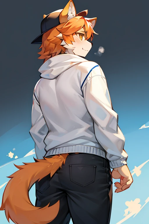 Cat Plush,hairy,hairy的,Wear a hat,Colorful pattern white sweatshirt,White stripes black casual pants,Q version,Lovely,Simple art style,Cartoon Style,Golden Eyes,hapiness,hapiness的,Orange hair on the ears,White hair on the ear tips,Back hair,hairy 蓬松的狼尾,Large orange tail with white tip,Blue graffiti background