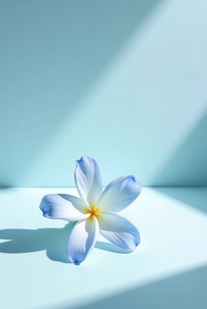 Jasmine Blue aesthetic flower on the floor for product placement for perfume brand against light jasmine color plain background, Minimalistic theme for background
