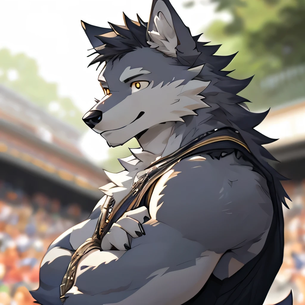 A scene from a movie, Depth of Field, Motion Blur,  Looking at the audience, (best quality), (masterpiece), (Extremely detailed), Clear focus, personal, Eye contact, Golden Eyes, hairy, Solitary, light white fur, Gray fur, Close-up face, Profile picture, Cross your arms, Blink, Smile, anthropology (Wolf), male, (Wolf), teenager, muscular, Extremely detailed face