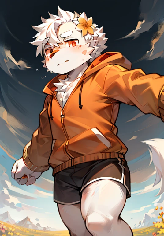 Bright eyes,panoramic,character focus,Solitary,hairy,hairy male,Male focus,Flower Charcoal,(Body hair,hairy的尾巴,Off-white fur,Orange-red eyes,White hair,Orange jacket,Grey shorts:1.2)Background grassland,Running on the steppe,juvenile