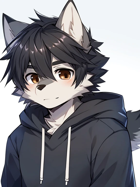 Wolf、Handsome、Messy hair、Black Hair、Brown eyes、Gray fur、Wearing a hoodie