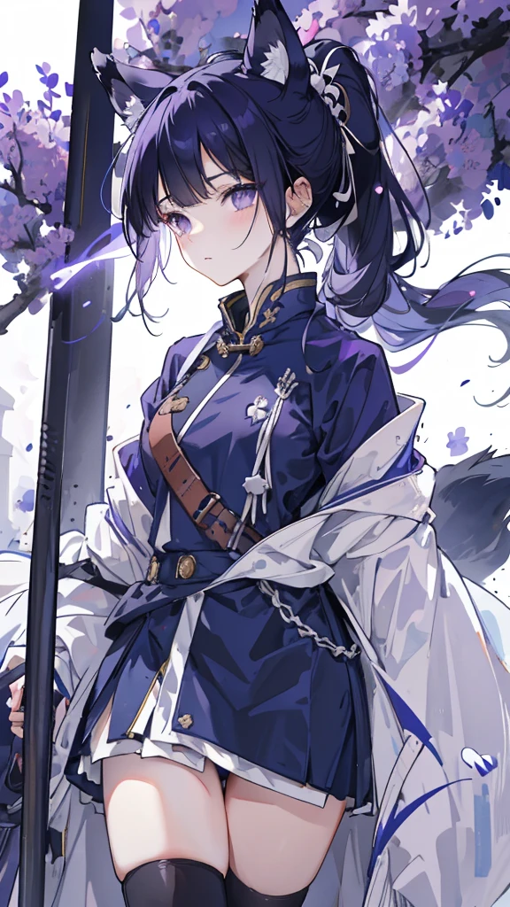 Navy blue short ponytail，black eyes，Wolf's ears，White military uniform and purple windbreaker，longbow