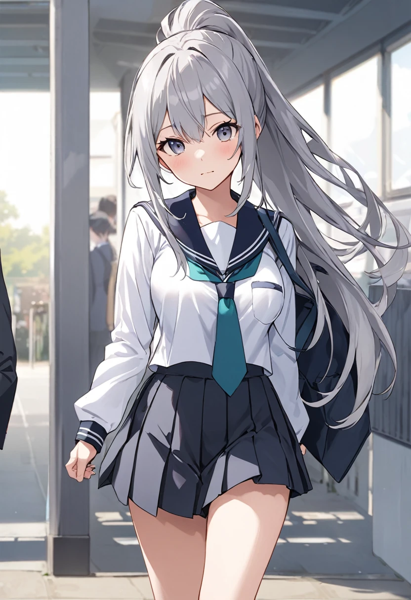 、Appearance(Long Hair、Gray Hair、Ponytail)clothing(High School Uniform)