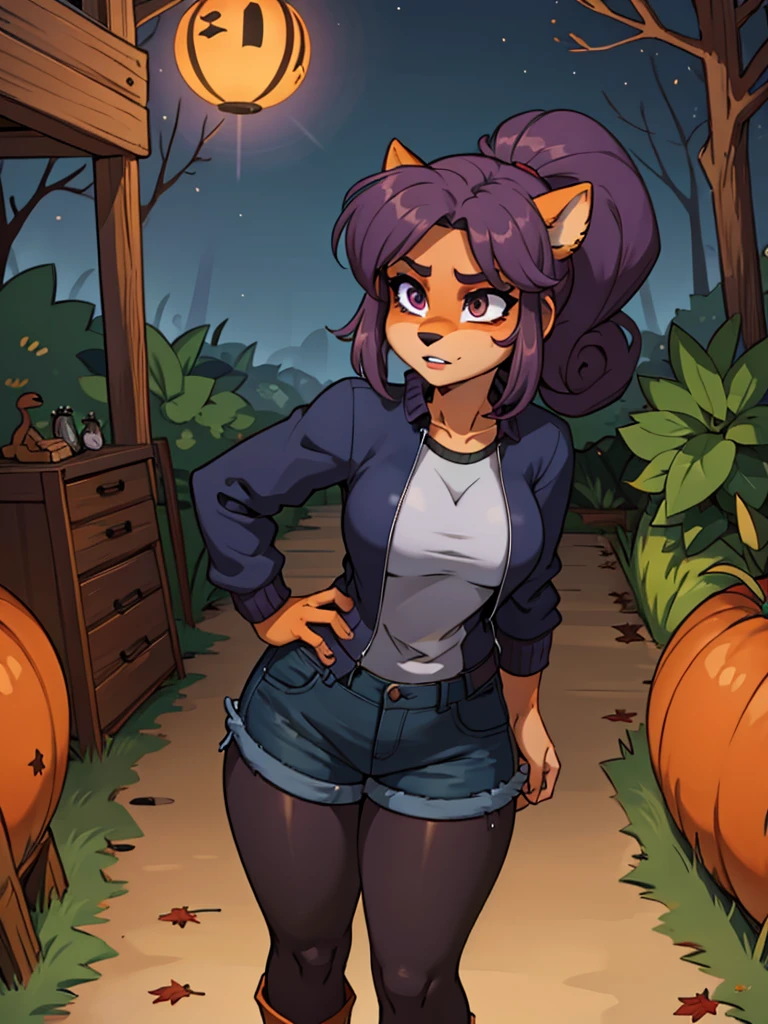 furry anthro bandicoot girl, dark purple hair with a voluminous ponytail, dark-blue sports jacket,dark brown shorts, black tights and boots. Cozy autumn atmosphere, , the forest, autumn.