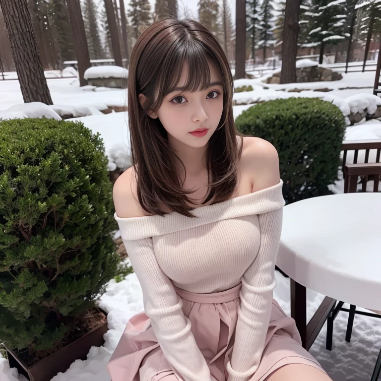 long skirt,skirt,pink skirt, (knee shot), 1 woman, On the face, light brown hair, blunt bangs, hair behind ears, Hair over the shoulders, long hair, Slender body type, Super thin face, face slimming, delicate lips, beautiful eyes, Thin blush, Eyes are light brown,Check it out here, (realistic:1.3), There is a coniferous forest with heavy snow., It's snowing .One person's perspective, 8k, On the table, , Super detailed, high quality, best quality, High resolution, ,Large Breasts,H CUP, off -shoulder top