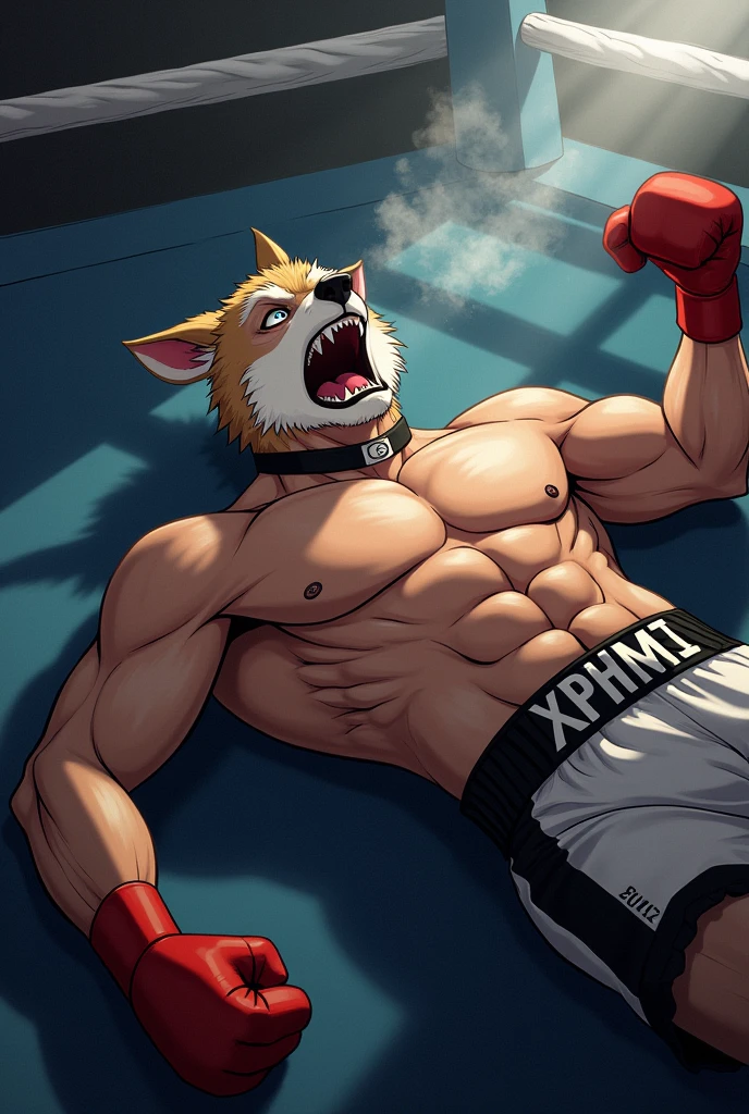 ((solo)), (anthro) wolf, shirou_ogami:1.8 (bna), adult, mature, masculine, slim:1.2, skinny:1.2, tall:1, (correct anatomy:1.2), vascular veins, (cartoon fur, detailed fur texture:1.3), topless, wearing big black collar (shirtless, boxing gloves, compression shorts), ultradetailed, (by wfa:1.2), (by takemoto_arashi, by vorusuarts, by Traver009:1, by grimfaust:1), natural lighting (boxing_ring:1.4 background), (sweat:1.4, wet:1.6), (lots of sweat flowing down) exhausted, wolf head ((open eyes, detailed):1.2), open mouth (steaming breath:1.2, drooling, dripping saliva, thick drool) tongue sticking out, (serious:1.4) expression), grumpy, sad, lying down, collapsed, defeat ripped shorts 