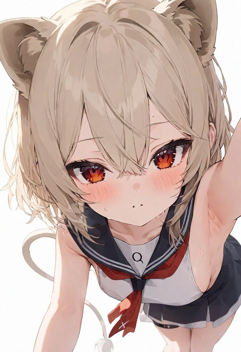 (musterpiece), (best quality), (score_9, score_8_up, score_7_up), very detailed eyes, expressive eyes, perfect face, very detailed face, highly detailed face, beautiful girl, 8K, beautiful girl, (white background:1.3), delicate and beautiful face and eyes, dark intense shadow, 1 girl, vtuber style, cool girl, hololive, vtuber, rurudo_lion, Platinum blonde lion ears, Platinum blonde lion tail, Platinum blonde hair, short hair, amber eyes, hair between eyes, Berets, Sailor suit, sleeveless suit, short skirt, bow, small chest, clavicle, armpit, sideboob, smaile, blush, (full body), naked thighs, sandals, standing, sweating, wind blowing, from below, pov crotch,