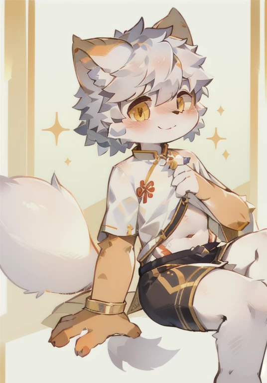 Cat Boy，Q version，Lovely，Covered in furry，Big furry tail，Orange-white fur，Silver Hair，Sparkling golden eyes，Hanfu，Chinese-style palace，blush，Smile，