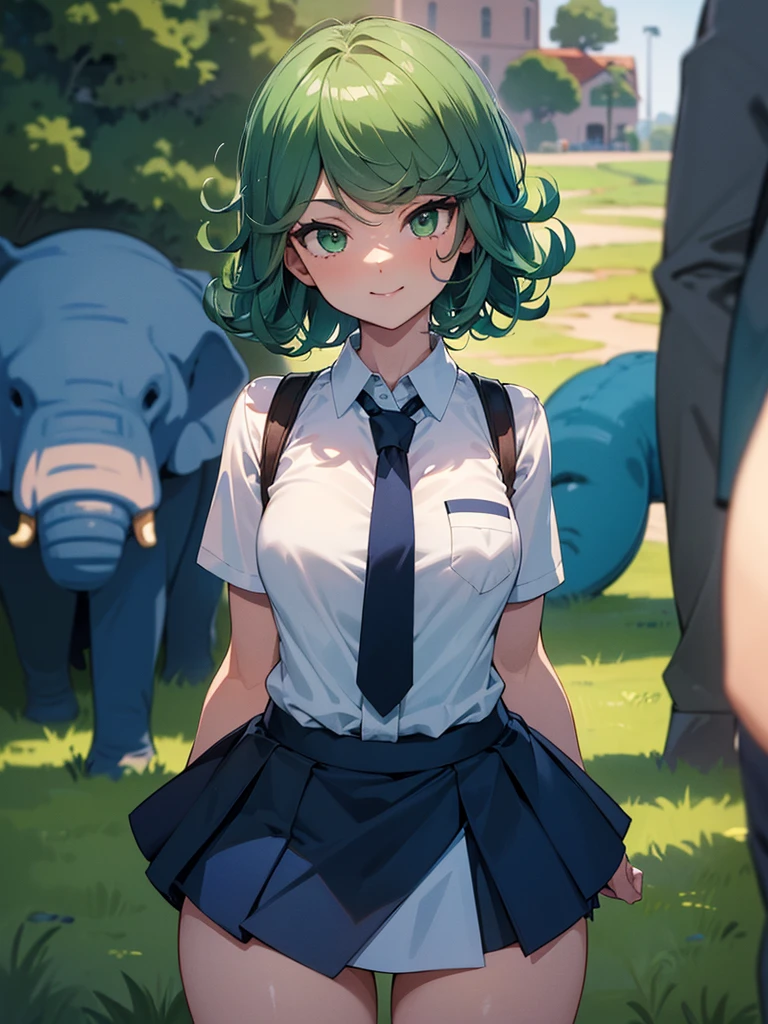 (high res, 8K, masterpiece, looking at viewer, best quality, very aesthetic, ultra detailed, ultra background, ultra Eyes) intricate details, 1girl, Tatsumaki, short sleeved white shirt, dark blue short skirt, Pockets on the left chest, dark blue tie, green short hair, green eyes, Smile Face, Elephant, Background Zoo, Cinematic Angle