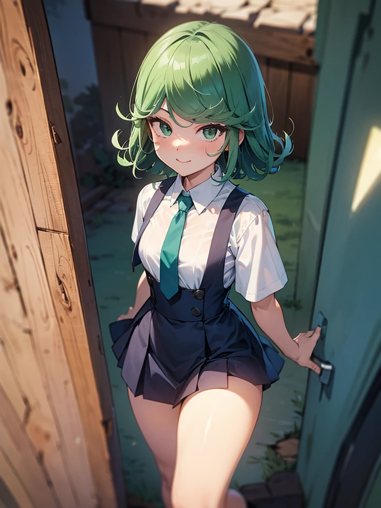 (high res, 8K, masterpiece, looking at viewer, best quality, very aesthetic, ultra detailed, ultra background, ultra Eyes) intricate details, 1girl, Tatsumaki, short sleeved white shirt, dark blue short skirt, Pockets on the left chest, dark blue tie, green short hair, green eyes, Smile Face, Being outside the elephant enclosure, Background Zoo, Cinematic Angle