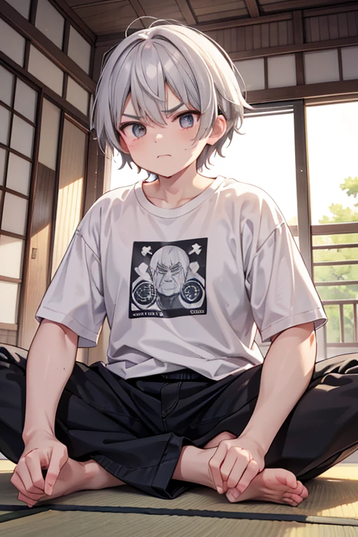 In the summer daytime, in a Japanese-style room,detailed background,beautiful background,BREAK he is sitting on tatami,
BREAK
A old male,Short Hair,Gray Hair,grandfather,T shirts,black pants
BREAK he folds his arms, with wrinkles between his brows. angry face,An aura of anger (emanating:1.5) rises from his body. break masterpiece,best quality,super detailed,super fine illustration,8k,cute,