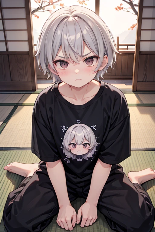 In the summer daytime, in a Japanese-style room,detailed background,beautiful background,BREAK he is sitting on tatami,
BREAK
A old male,Short Hair,Gray Hair,grandfather,T shirts,black pants,Tsundere,red cheek,black eyes,
BREAK he folds his arms, with wrinkles between his brows. angry face,An aura of anger (emanating:1.5) rises from his body. break masterpiece,best quality,super detailed,super fine illustration,8k,cute,
