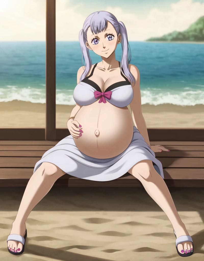 noelle_blackclover, Noelle Silva, Black Clover, long silver hair, waist-length hair, half-up half-down hairstyle, ribbon, soft waves, side-parted bangs, almond-shaped blue eyes, high-quality, ultra-detailed, beast quality, 8K resolution, anime style,
looking at viewer, smile, pregnant belly, large belly, huge belly, big Breasts, Sitting
1girl,solo, indoors, beach, happy, Smiling, rub belly,
full body, Nail polish, Sandals 