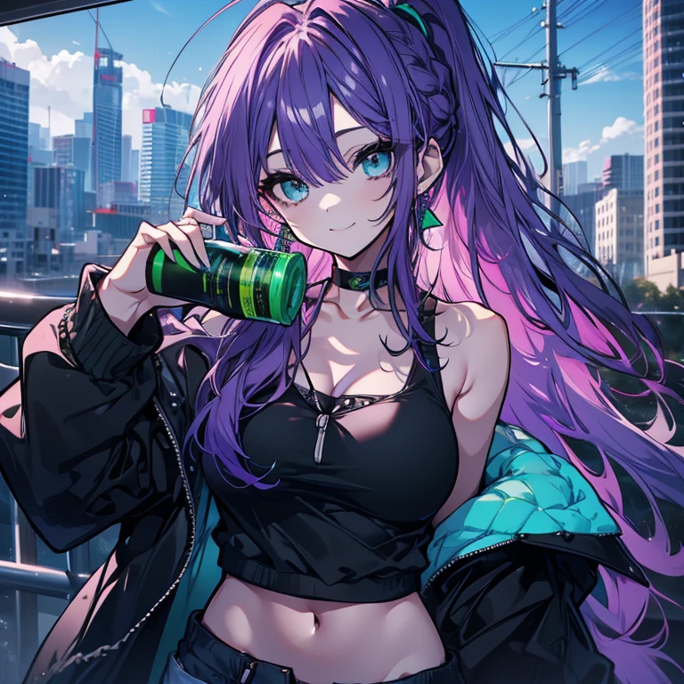 1 person、Mature、Ample breasts、Purple Hair、Long Hair、Emerald green eyes、ponytail、Braid、Voluminous hair、Earrings、Black hoodie、Shoulder Bare、blue sky、Downtown、smile、With juice、Black choker、Shorts、garter、High resolution、Highest quality