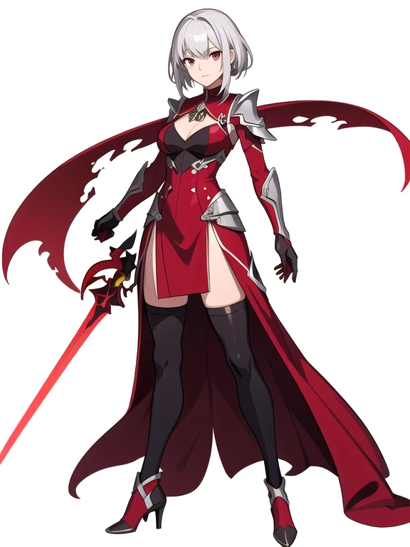 (((Best Quality))) , ((full body)), female, reference sheet, solo, (white background), thigh high, silver hair, dark red outfit, fantasy outfit, red sword,  
