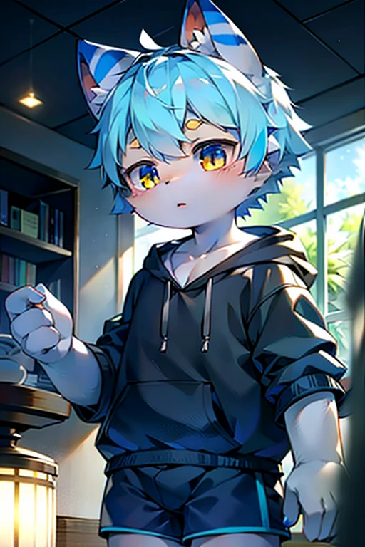 Shota, Sweatshirt, shorts, Striped hair, Light blue hair, Gradient hair, Colored undercoat, Ahog, Flowing hair, Expressive hair, Shiny hair, short hair, Snowflake Hair Accessories, Star-shaped pupil, Eye Reflection, Glowing eyes, Aqua eyes, Orange Eyes, Cat ears, Jiliu, Raise your eyebrows, High Detail, Japanese cartoons, Japanese cartoons style, Cubism, Movie Lighting, Glowing lights, Ray Tracing, reflected light, bloom, shadow, Wide Angle镜头, view, Wide Angle, Ultra HD, Retina, masterpiece, precise, Anatomically correct, Textured Skin, Super Detail, High Details, high quality, The award-winning, best quality, high resolution, 8K