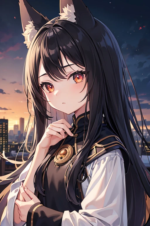 ((Highest quality)), ((masterpiece)), (detailed), 1girl, cute Five fingers Small wolf ears Black braid Show your forehead Petite Normal chest No human ears Big eyes Her eyes are black first round whole body Black tabard The background is a medieval cityscape