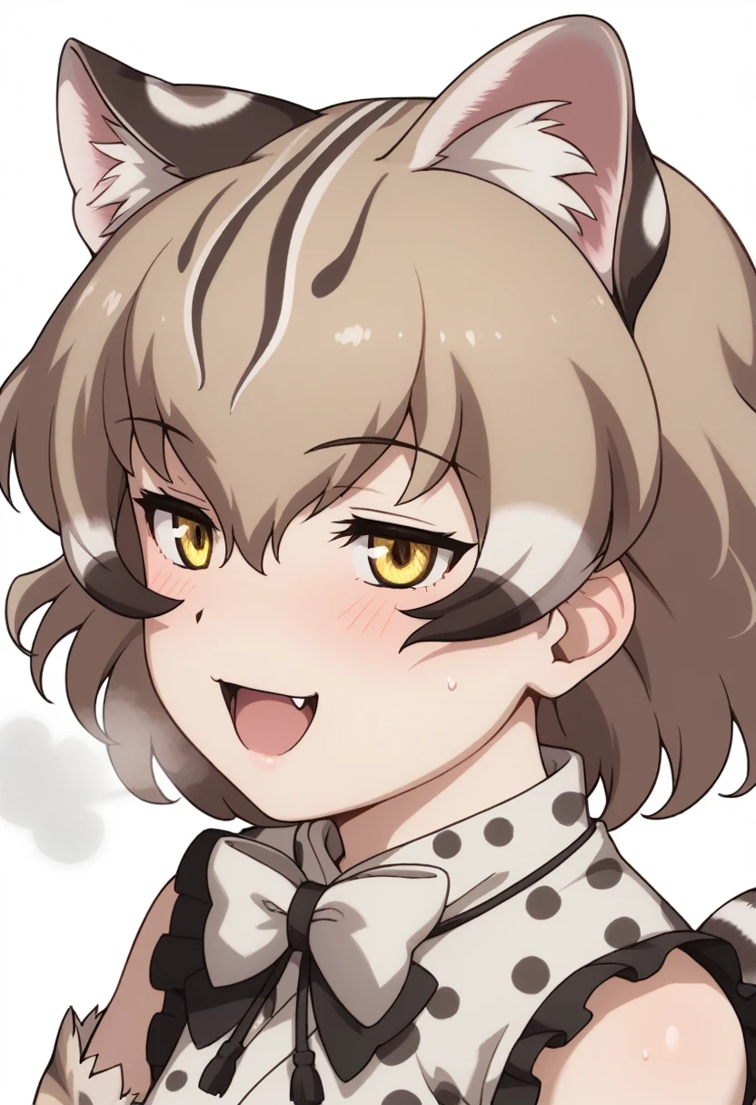 Score_9, Score_8_up, Score_7_up, Score_6_up, Score_5_up, Score_4_up, source_anime, anime style, 1girl,tsushima leopard cat \(kemono friends\), 1girl, cat ears, animal ear fluff, yellow eyes, multicolored hair, brown hair, short hair, cat tail, animal print, leopard print, print bowtie, print kimono, sleeveless, sash, print skirt, back bow, fur-trimmed gloves, print gloves, elbow gloves, fur-trimmed skirt, print legwear,anime coloring, aged down, cute, horny, excited, aroused, heavy breathing, urine in mouth, close up, penis