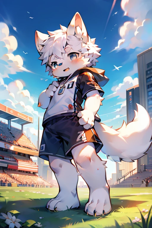 Boys,,arctic fox,hairy,Animal ears,Animal fur,浑身hairy的,Animal paws,big ear,cute,Kawaii,hairy的尾巴,White fur,Comic Style,Wearing a Soccer Suit,play soccer,on a football field,Detailed background,Blue sky and white clouds,masterpiece,Best Works,Comic Style