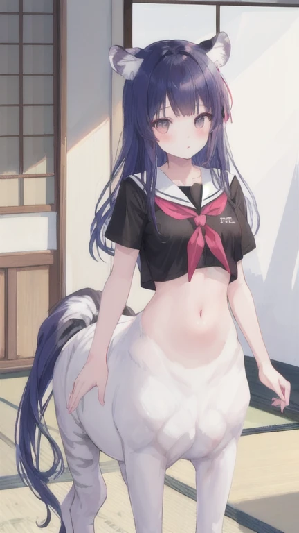 (best quality, masterpiece), 1 girl, centaur, I beg, White skin, Japanese schoolgirl,daughter,black pink, exposing the abdomen, belly button t-shirt , beautiful girl perfect, White tiger photo, 완벽한 White tiger photo