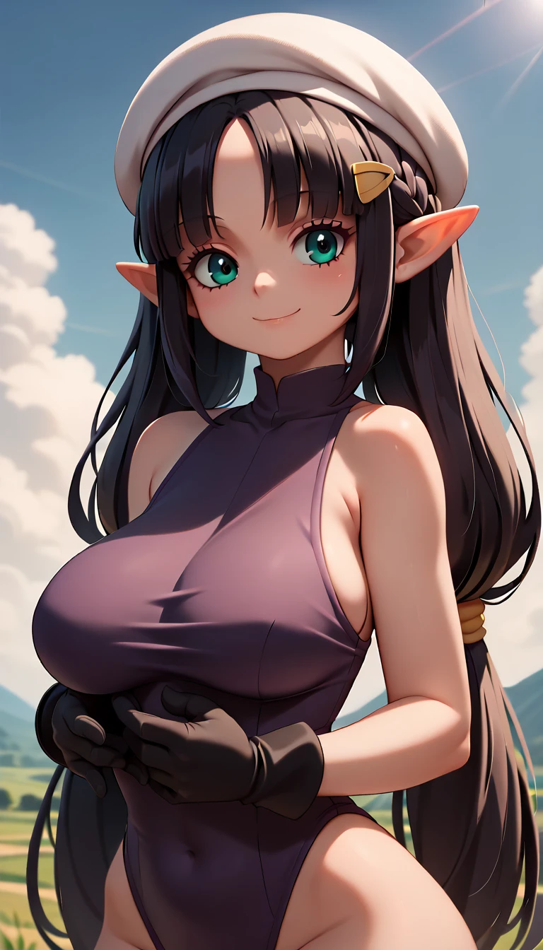 High resolution, Very detailed, perfect lighting, beautiful detailed eyes, ((masterpiece,Best Quality)), absurdities, alone, princess zelda, by the width, crown braid, Hair clip, pointy ears, Gloves without fingers, black gloves, smile, curves, nod, , deep neckline, deep neckline, violet one piece swimsuit with pink details, touching her breasts in a sexy way, close up, black fur, close up, pigtails with bangs, pigtails with bangs, touching her breasts in a sexy way, teal eyes, close up, pigtails with bangs, pretty face, white beret, landscape, dark hair