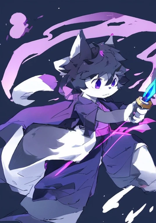 Black hair，with a serious and determined expression，Black and purple outfit，Purple Eyes，White fur，Big furry tail，Magic sword in hand，Male cat，boy，Handsome