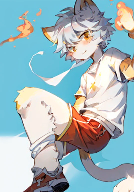 Silver hair,blonde,White male cat,Orange fur,White fur,White top,Red shorts,cute,Q version,Handsome,Cast golden magic