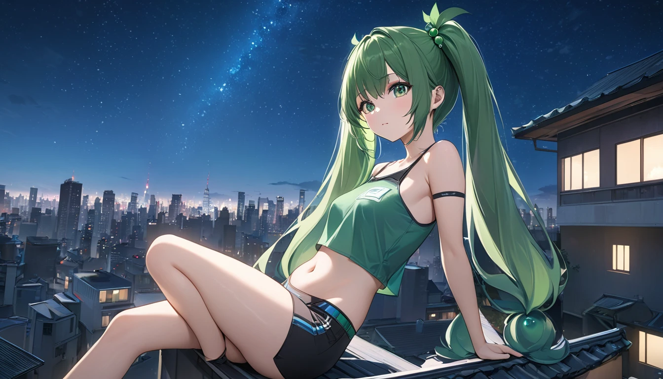 masterpiece，high resolution，Anime Art，Anime Numbers， 4k anime wallpaper，Soft Light，Radiant Skin，Looking at the camera，Solitary，1 anime girl，Sitting sideways on the roof of the house，Green twin ponytails，Green beads in hair，Straight chest，Belly button，(Green eyes: 1.3)，leg，Modern City，Starry Sky