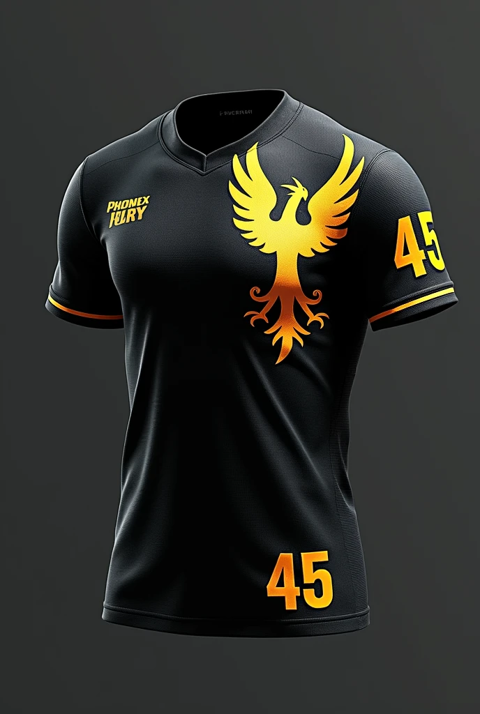 Black jersey with golden phoenix on the right chest and number 45 on the back and IAG as brand sponsor on the left hand with collar and full hand and phoenix fury as team name in centre