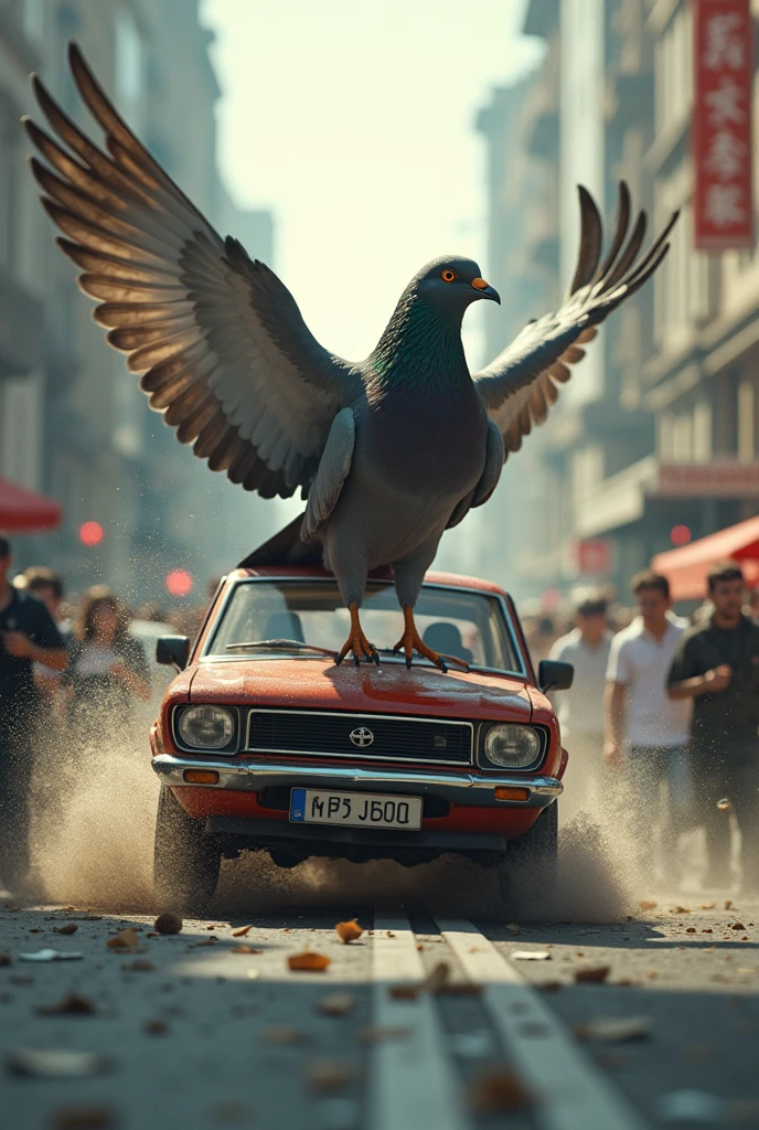 Pigeon running over people in a vechicle