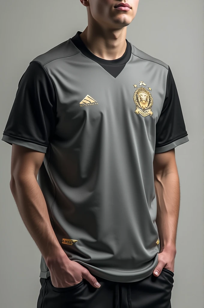Chat make me a team shirt, with the color gray with black and some white details with gold, and a symbol of a lion on the print, small size, normal, e o short com. A symbol of a seated lion