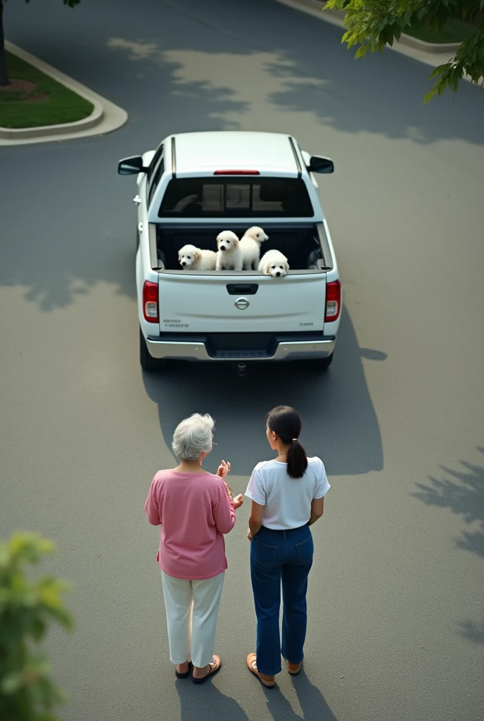 An image taken from above where you can barely see a parking lot with 2 white women, one of them an old woman wearing a pink blouse and white pants and the other a 35-year-old woman wearing a white blouse and blue pants., They are talking and behind them there is a white Nissan Pkup type truck with 3 white puppies