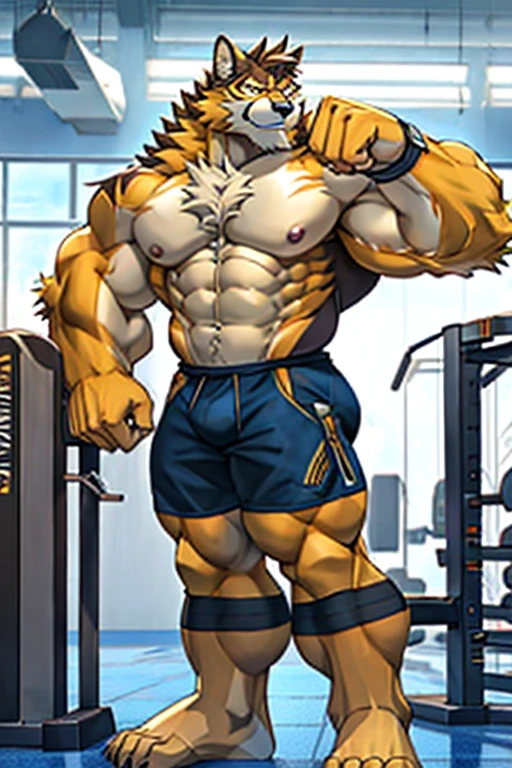 barrel(live a hero), hyper muscular, bodybuilder, gym, naked, shirtless, flexing. 