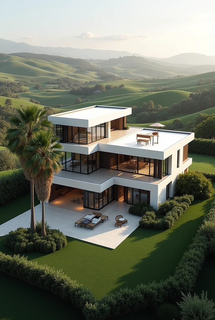 Modern two-story country house with panoramic views, Aerial view of a contemporary home with a palm tree in the front yard, architectural visualization, architectural rendering, concept house,