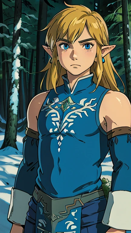 (1boy, solo, frostlink), (extremely detailed CG unit 8k wallpaper),(master part), (best quality), (ultra detail), (best illustration),(ghibli style), cowboy shot, (Sharp eyeliner, ombre, detailed eyes:1), Snowy forest, outdoors background, ,break, (GHIBLI_Background), upper body, earrings, long hair, detached sleeves,
