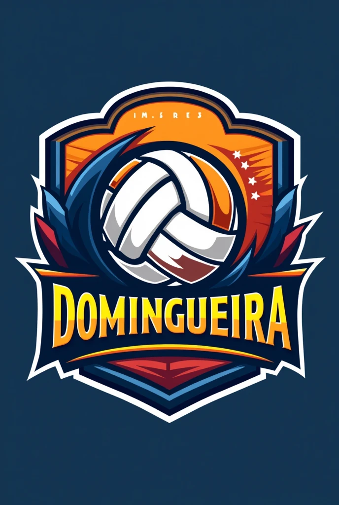 Volleyball team crest with the name DOMINGUEIRA