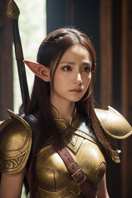 Elf、Warrior