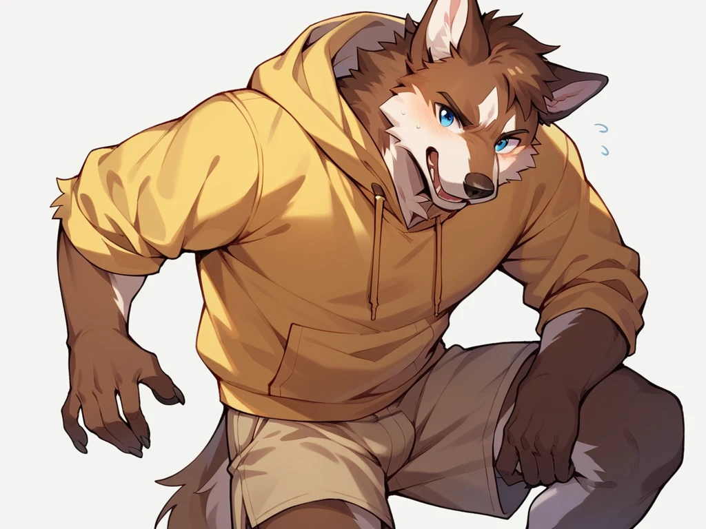 score_9, score_8_up, score_7_up, high quality, hires, anthro, male, husky, brown fur, brown ears, mostly white fur, blue eyes, yellow hoodie, brown shorts, white background,