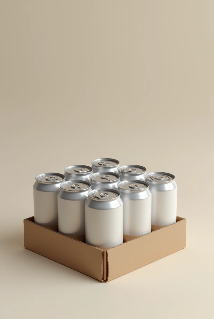 Cardboard tray with 12 cans stacked on 2 levels 