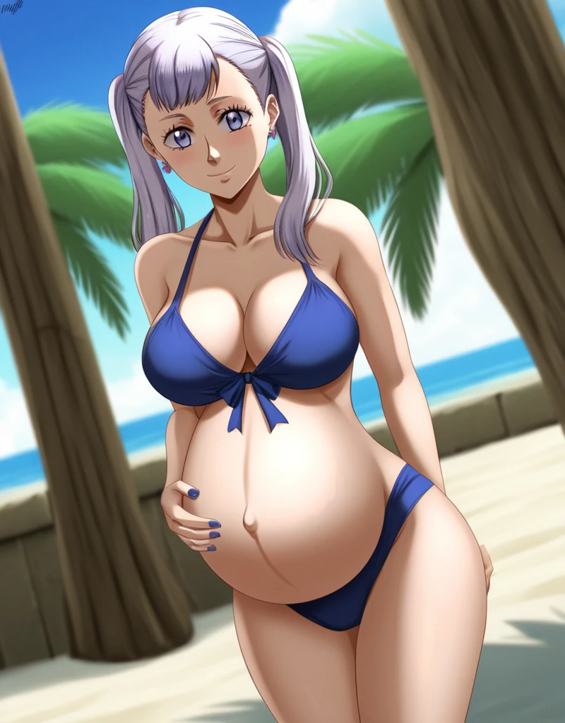 noelle_blackclover, Noelle Silva, Black Clover, long silver hair, waist-length hair, half-up half-down hairstyle, ribbon, side-parted bangs, almond-shaped blue eyes, high-quality, ultra-detailed, beast quality, 8K resolution,
looking at viewer, dutch angle, cowboy shot, smile, pregnant belly, large belly, big belly, big Breasts, belly button, Earrings,
1girl,solo, indoors, beach, happy, Smiling, rub belly, Posing as a model,
full body, Nail polish,