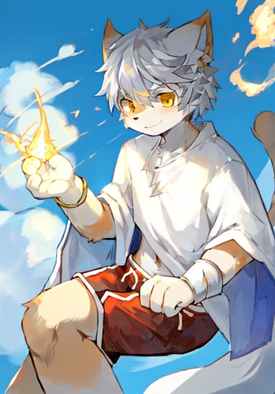 Silver Hair,Golden Eyes,White male cat,Orange fur,White fur,White top,Red shorts,Lovely,Q version,Handsome,Cast golden magic,Above the clouds