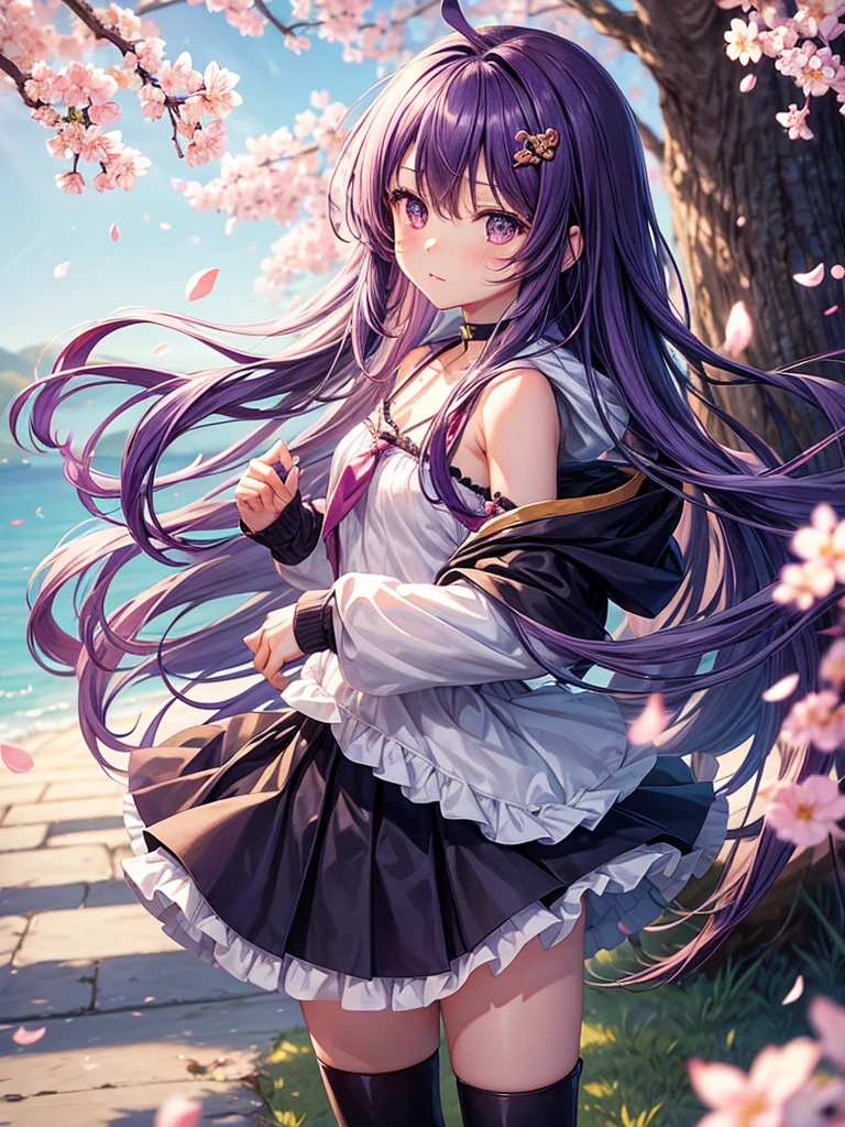 Shrinkage rate, Depth of the written border, Highest quality, Yuitsuki Yukari, Long Hair, A pleasant windy day, alone, View your audience, Spotted sunlight,Cherry blossom petals, Standing position, look back, Shrinkage rate, Depth of the written border, Highest quality, Yuitsuki Yukari, A pleasant windy day, alone, Spotted sunlight,Cherry blossom petals, Standing position, look back, secretary, Purple-tinged hair, Small breasts, Not a very good style, break,Ayukari,Ahoge,Long Hairの短い髪,hair ornaments,Purple Dress,Cross halter neck,Hooded jacket,Long sleeve, purple neckerchief,Grey Skirt,Black knee socks,boots, Snowstorm,Long Hairの短い髪,hair ornaments,Hair Clip,choker,Cross halter neck